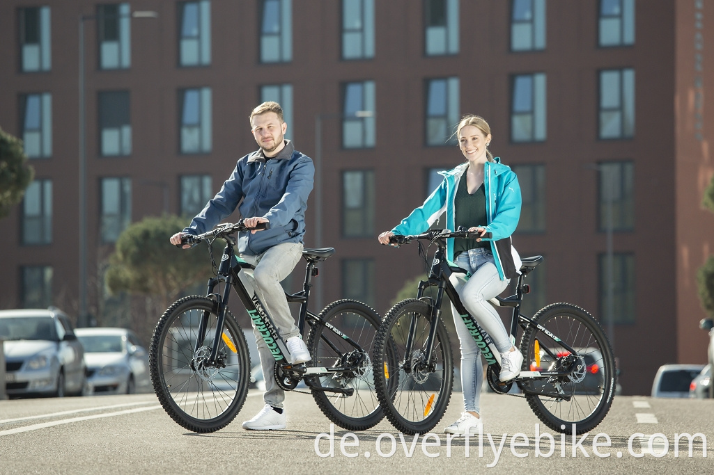 mountain electric bikes